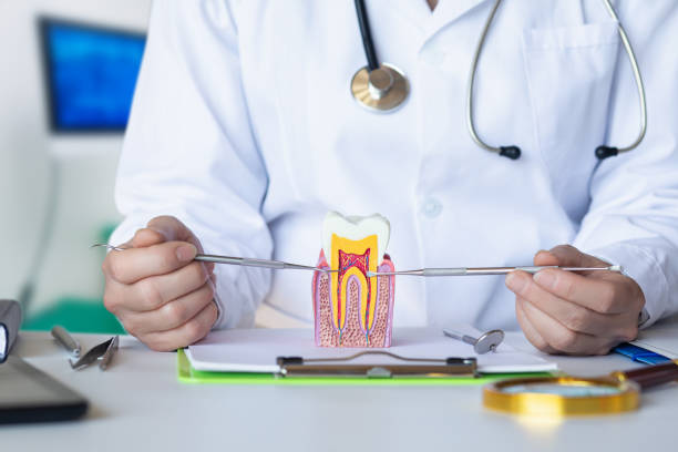 Best Emergency Cosmetic Dentistry in Edina, MO